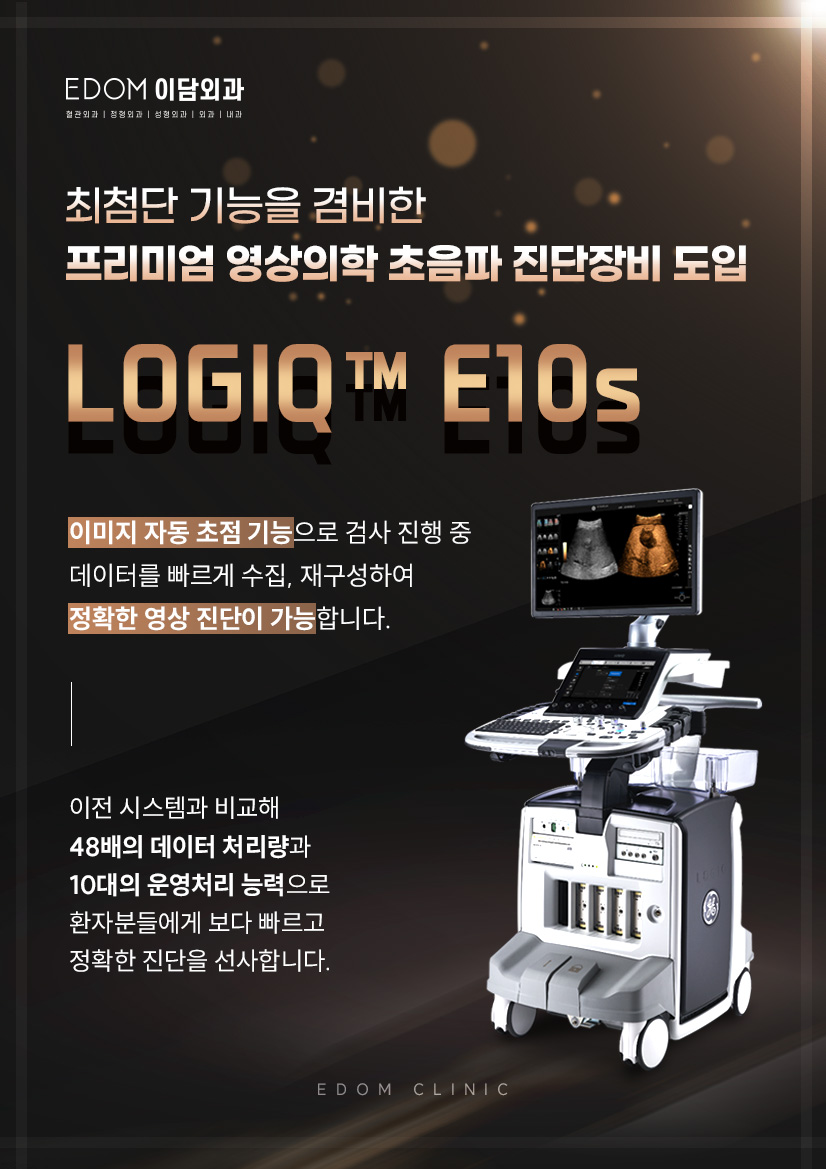 GE헬스케어 '로직 E10(LOGIQ™ E10).jpg