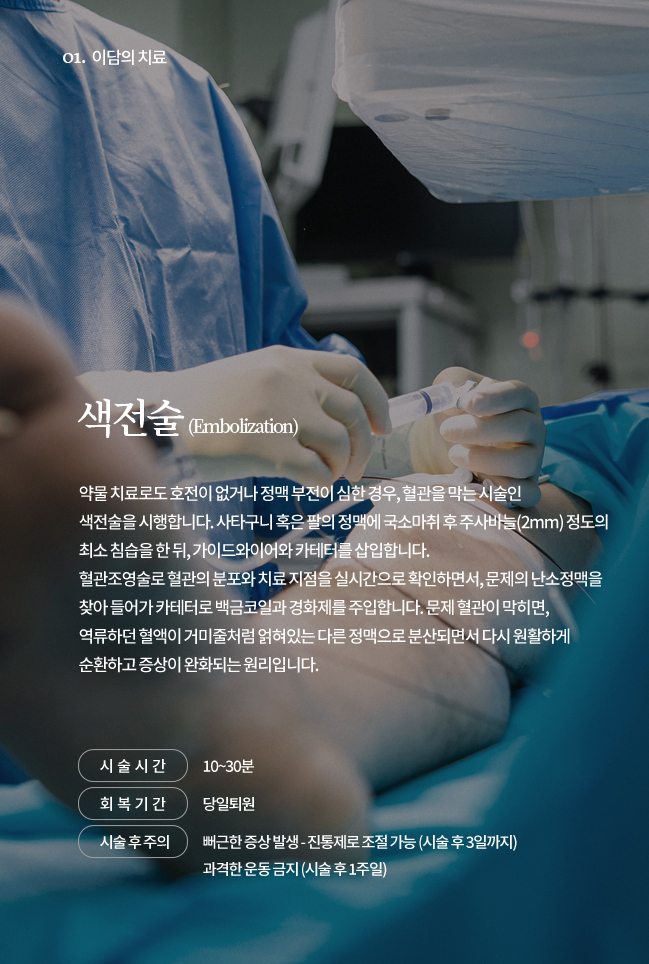 색전술 (Embolization)